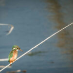 Finding it hard to give away