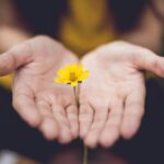 Reaching out to the Bereaved